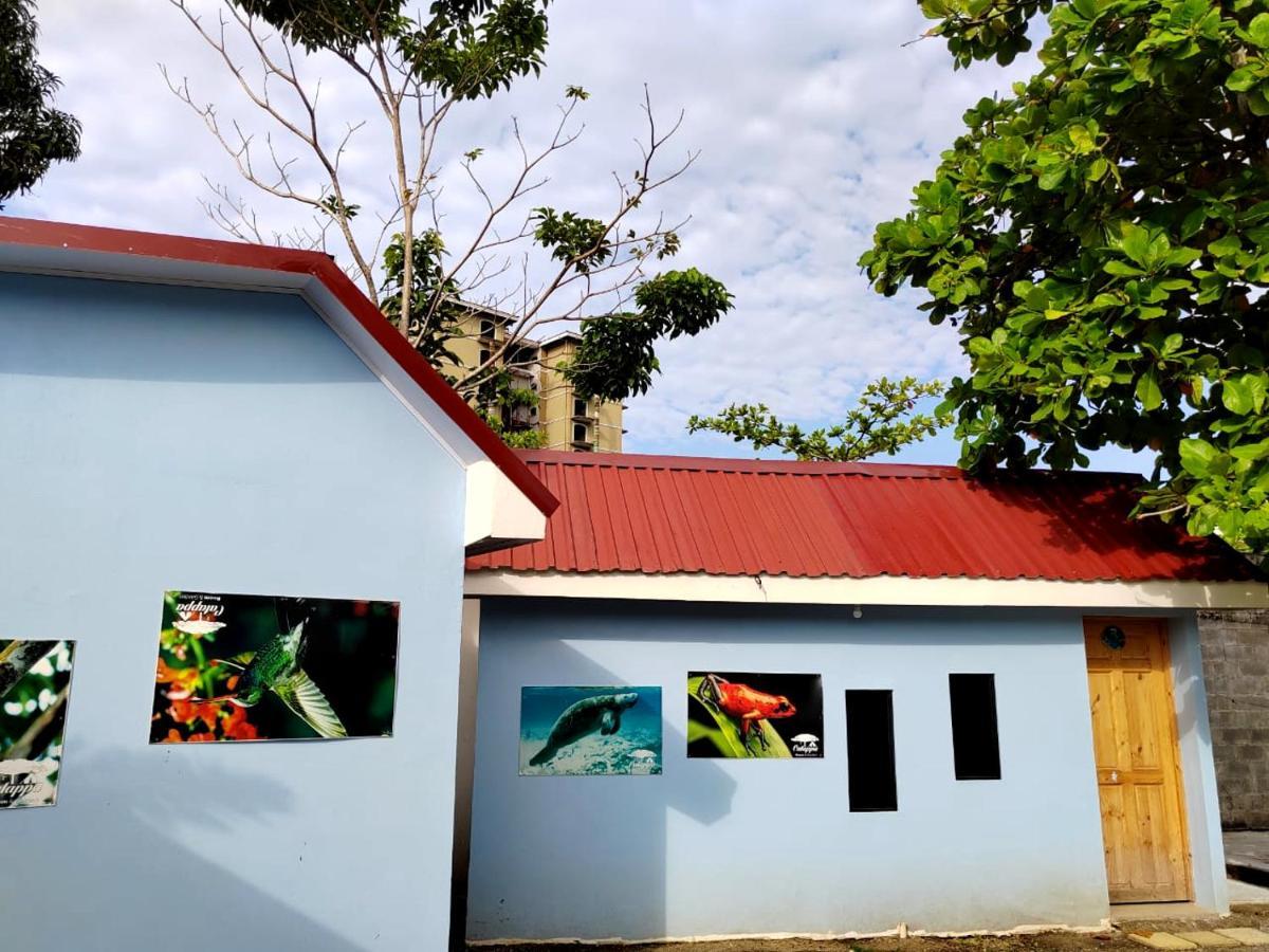Hotel Catappa Jacó Dış mekan fotoğraf