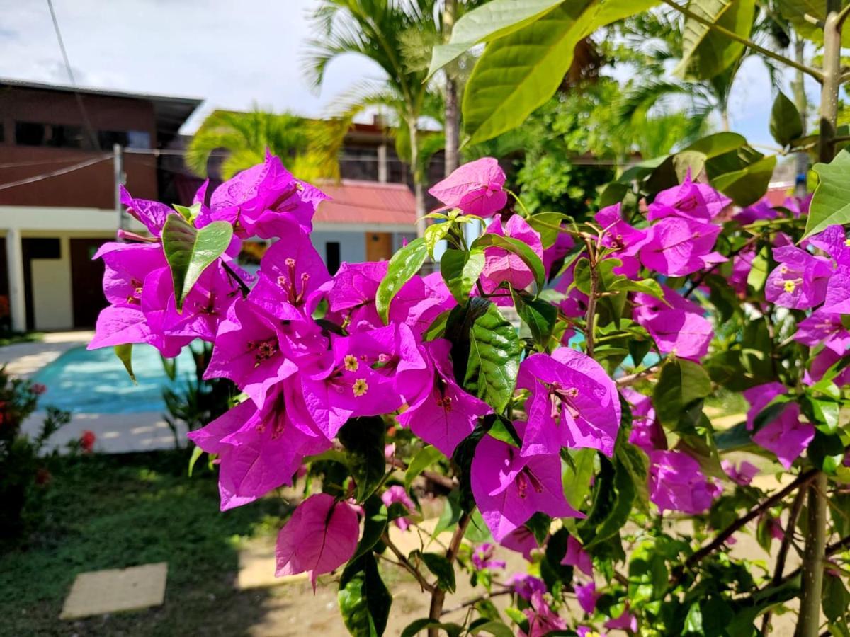 Hotel Catappa Jacó Dış mekan fotoğraf