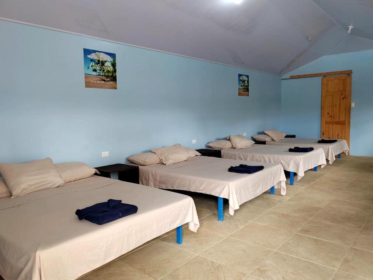 Hotel Catappa Jacó Dış mekan fotoğraf